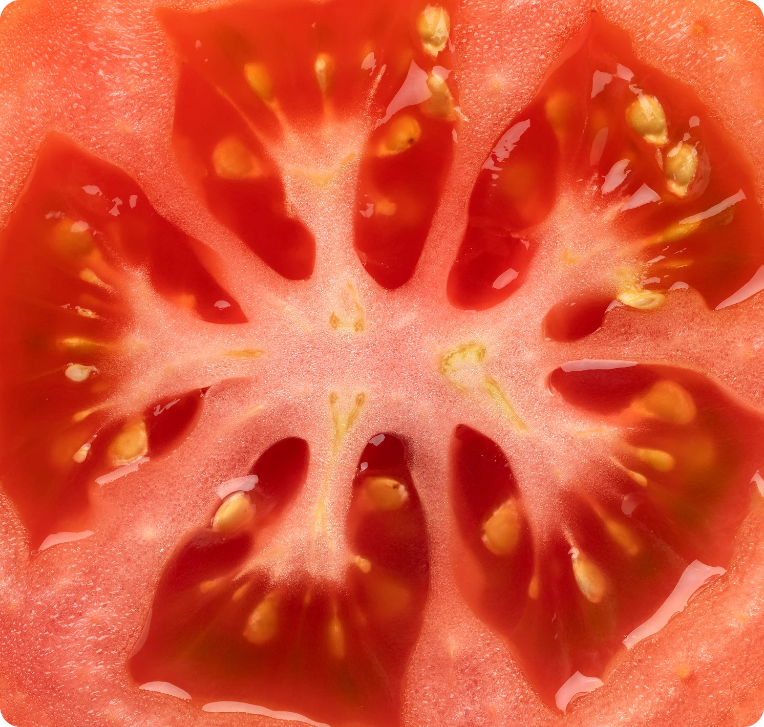 POMODORO