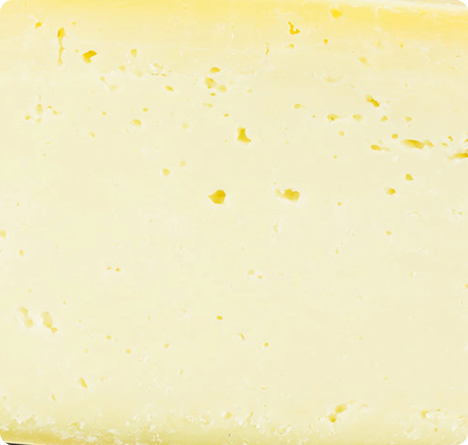 CACIO