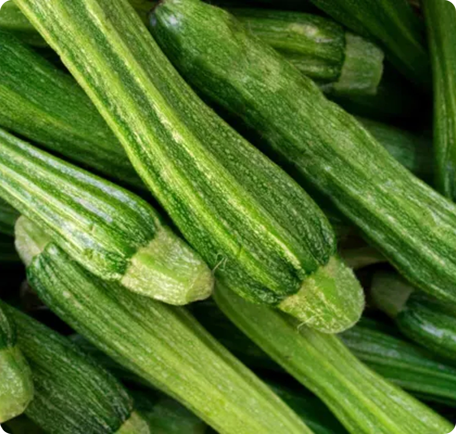 ZUCCHINE
