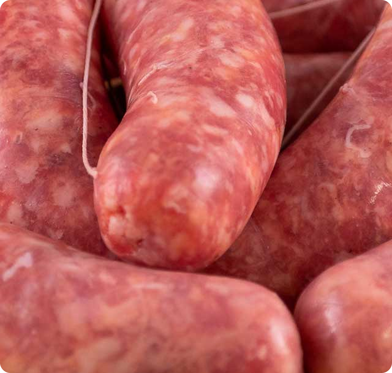SALSICCIA